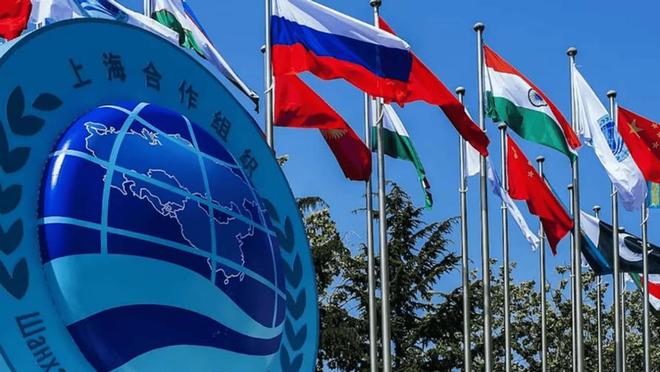 度得到真正的实惠莫迪发文感谢中国OG网站全员赞成天津宣言通过印(图5)